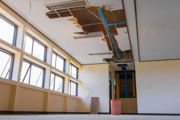 Best Water damage contractors near me  in Mowbray Mountain, TN