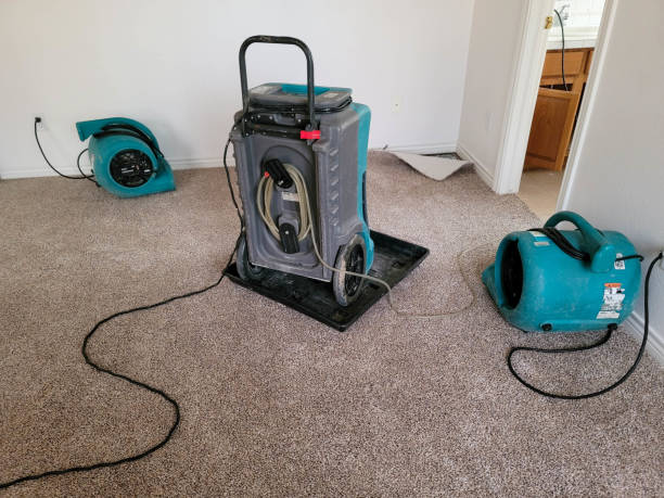 Best Professional water damage repair  in Mowbray Mountain, TN
