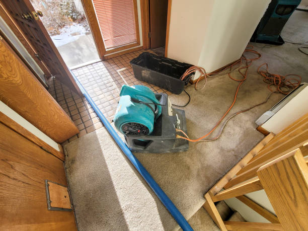Best Ceiling water damage repair  in Mowbray Mountain, TN