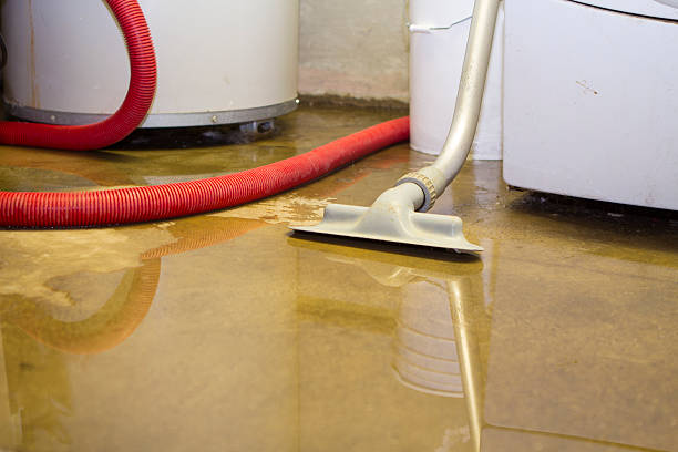 Best Residential water damage restoration  in Mowbray Mountain, TN