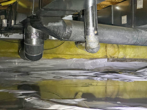 Best Water damage restoration near me  in Mowbray Mountain, TN