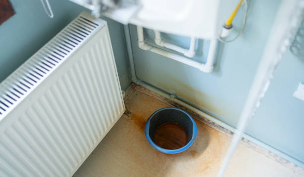 Best Carpet water damage restoration  in Mowbray Mountain, TN