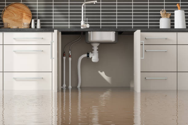 Best 24-hour water damage restoration  in Mowbray Mountain, TN