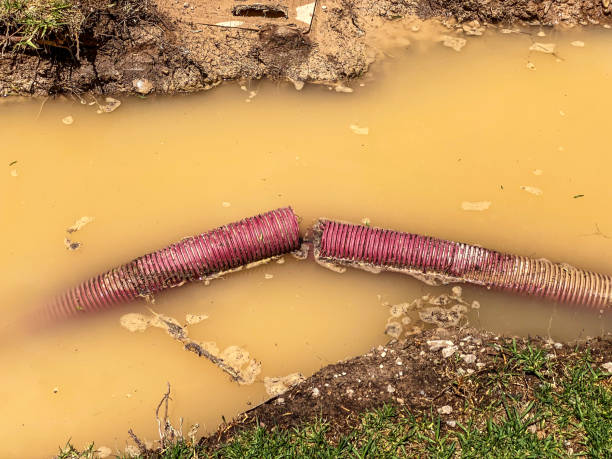 Best Water damage restoration near me  in Mowbray Mountain, TN