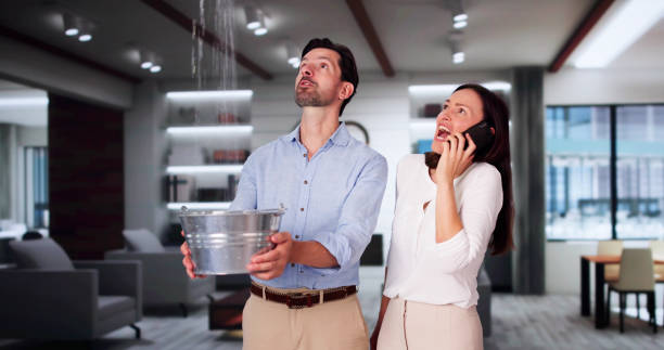 Best Flooded house restoration  in Mowbray Mountain, TN